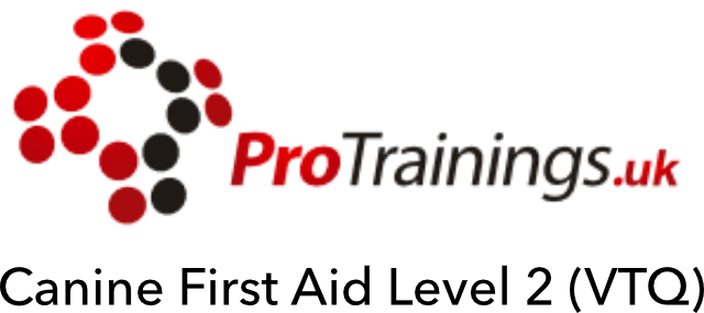 Canine First Aid Level 2 (VTQ)