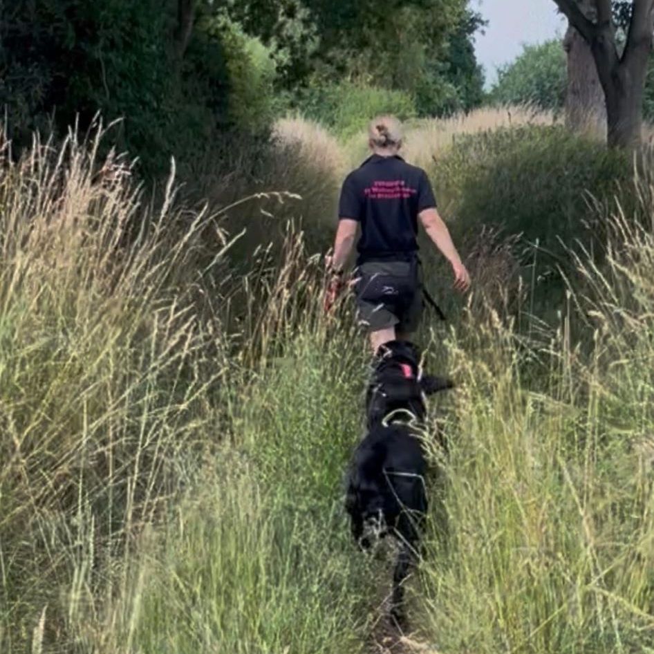 Dog walking at Founbound